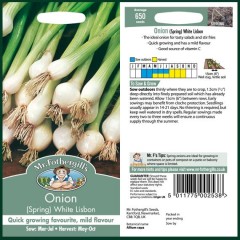 Onion (Spring) White Lisbon (Twin Pack)